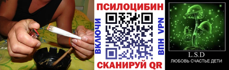это официальный сайт  Богданович  Псилоцибиновые грибы ЛСД  где продают  